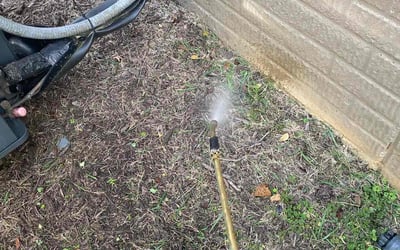 Photo of Pamela H.'s yard after getting landscaping in Diggs, VA