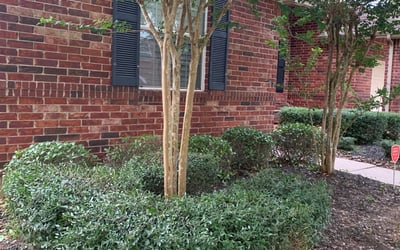 Photo of Sandra S.'s yard after getting landscaping in Highlands, TX