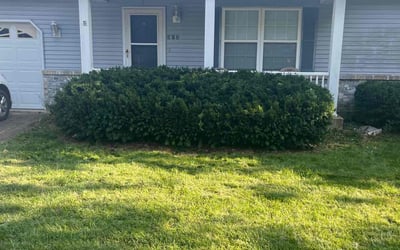 Photo of Erin R.'s yard after getting lawn care in Troy, MO