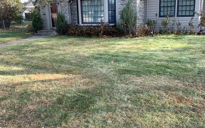 Photo of Dan P.'s yard after getting landscaping in Big Lake, MN