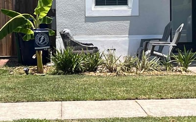 Photo of Anthony S.'s yard after getting landscaping in Tampa, FL