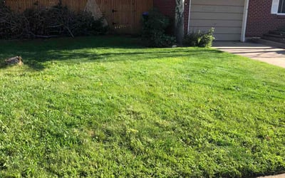 Photo of Michelle M.'s yard after getting landscaping in Como, CO