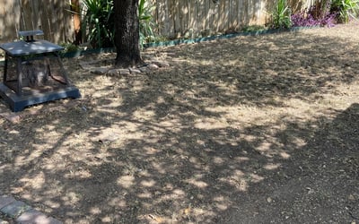 Photo of Lauren M.'s yard after getting tree care in Canyon Lake, TX