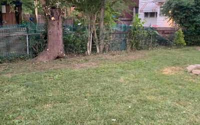 Photo of Megan M.'s yard after getting landscaping in Galena, OH