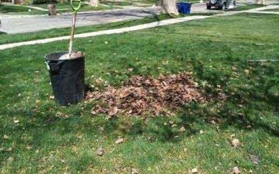 Photo of Jared C.'s yard after getting landscaping in Riverton, UT