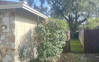 Photo of Gerald R.'s yard after getting tree care in Naples, FL