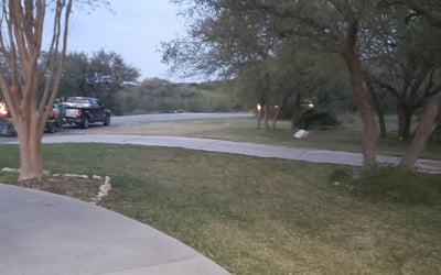 Photo of Lauren M.'s yard after getting tree care in Universal City, TX