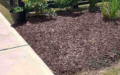 Photo of Jason K.'s yard after getting landscaping in Dayton, TX