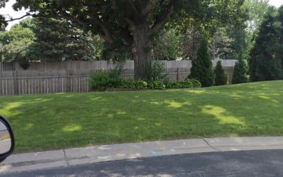 Photo of Jeanette B.'s yard after getting landscaping in Hammond, WI