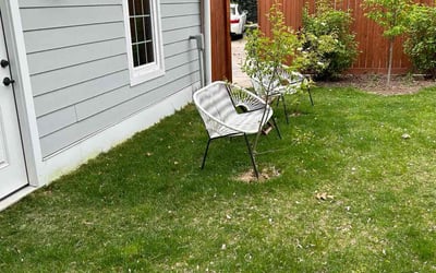 Photo of Christopher A.'s yard after getting landscaping in Bel Alton, MD