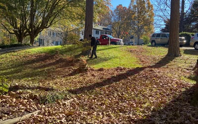 Photo of Katherine P.'s yard after getting landscaping in Timberlake, NC