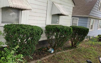 Photo of Tamara H.'s yard after getting landscaping in Cameron, MO