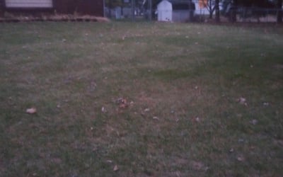 Photo of Joe L.'s yard after getting landscaping in Fulton, OH