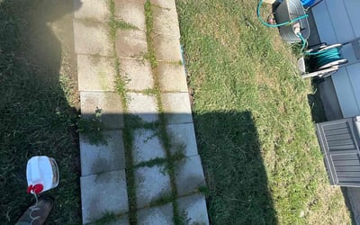Photo of Elizabeth W.'s yard after getting landscaping in Buda, TX
