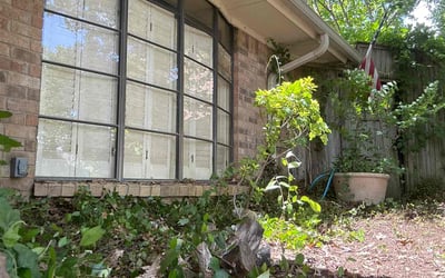 Photo of Karen P.'s yard after getting landscaping in Arlington, TX