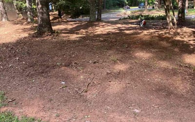 Photo of Valerie M.'s yard after getting landscaping in Mount Zion, GA