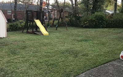 Photo of Matthew J.'s yard after getting tree care in Cincinnati, OH