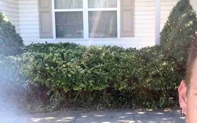 Photo of Brandon M.'s yard after getting landscaping in Hudson, OH