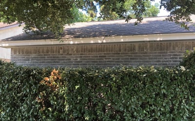 Photo of Jack E.'s yard after getting tree care in Channelview, TX