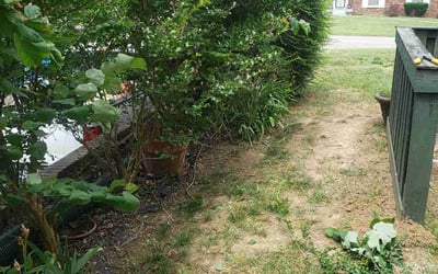 Photo of Penelope B.'s yard after getting landscaping in Woodbury, TN