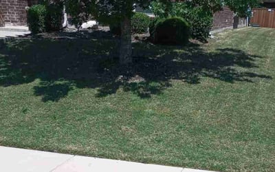 Photo of Melissa V.'s yard after getting landscaping in Rockwall, TX