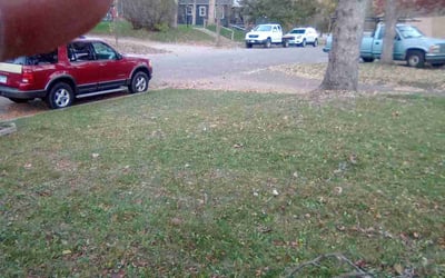 Photo of Jackie W.'s yard after getting landscaping in Lindstrom, MN