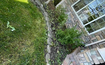 Photo of Kathleen H.'s yard after getting landscaping in Naperville, IL