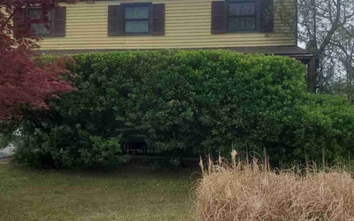 Photo of Cheryl C.'s yard after getting landscaping in King Of Prussia, PA