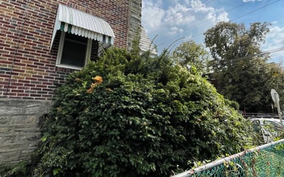 Photo of Briana H.'s yard after getting landscaping in Garnet Valley, PA