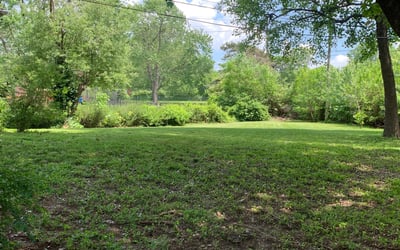 Photo of Donna T.'s yard after getting tree care in Belton, MO