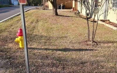 Photo of Rhonda D.'s yard after getting landscaping in Auburn, AL