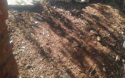 Photo of John H.'s yard after getting landscaping in Vanderpool, TX