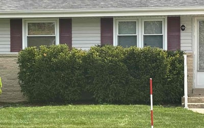Photo of Linda R.'s yard after getting landscaping in Menomonee Falls, WI