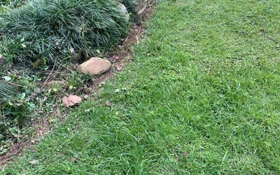 Photo of Linda T.'s yard after getting landscaping in Cassville, GA