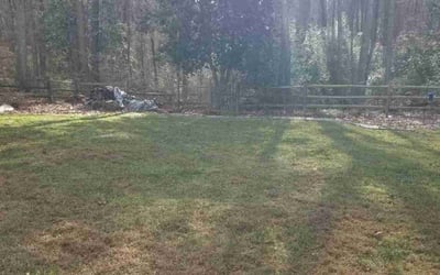 Photo of Derek S.'s yard after getting landscaping in Montpelier, VA