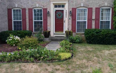 Photo of Robbin A.'s yard after getting tree care in Rockville, MD