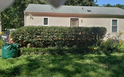 Photo of Caitlin W.'s yard after getting tree care in Chesterfield, VA