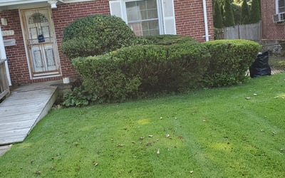 Photo of Renard S.'s yard after getting landscaping in New Windsor, MD