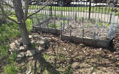 Photo of Marie C.'s yard after getting landscaping in York, PA