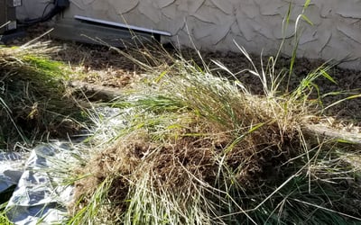 Photo of Sandy E.'s yard after getting landscaping in Roberts, WI
