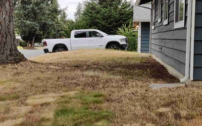 Photo of Chad M.'s yard after getting landscaping in Fall City, WA