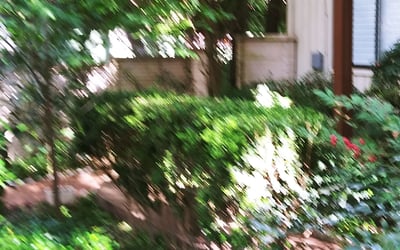 Photo of Margaret W.'s yard after getting landscaping in Kendalia, TX