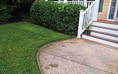 Photo of Mary C.'s yard after getting landscaping in Sussex, VA