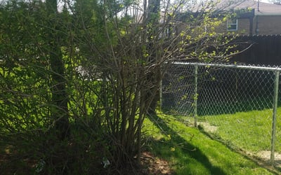 Photo of John D.'s yard after getting landscaping in Radnor, OH