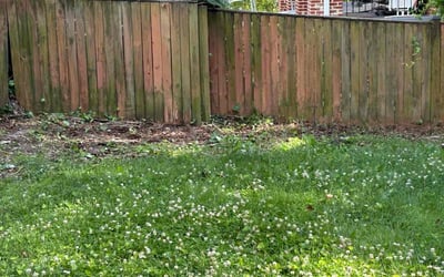 Photo of Jennifer C.'s yard after getting landscaping in Washington, DC
