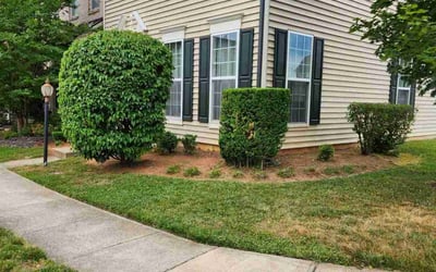 Photo of Larry B.'s yard after getting landscaping in Reva, VA
