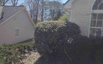 Photo of Robert S.'s yard after getting landscaping in Thomasville, GA