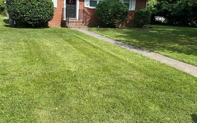 Photo of Tina R.'s yard after getting landscaping in Richmond, VA