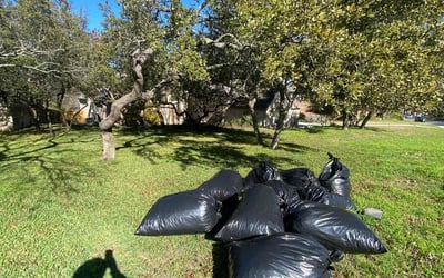 Photo of Charles L.'s yard after getting landscaping in Charlotte, TX
