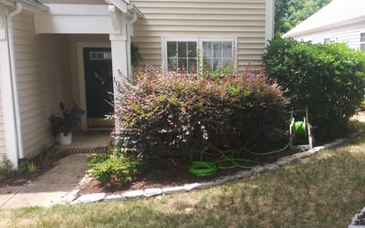 Photo of Kimberly D.'s yard after getting landscaping in Crouse, NC
